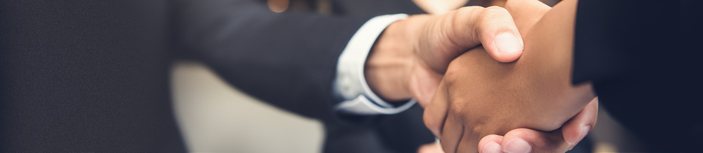 two business people shaking hands 