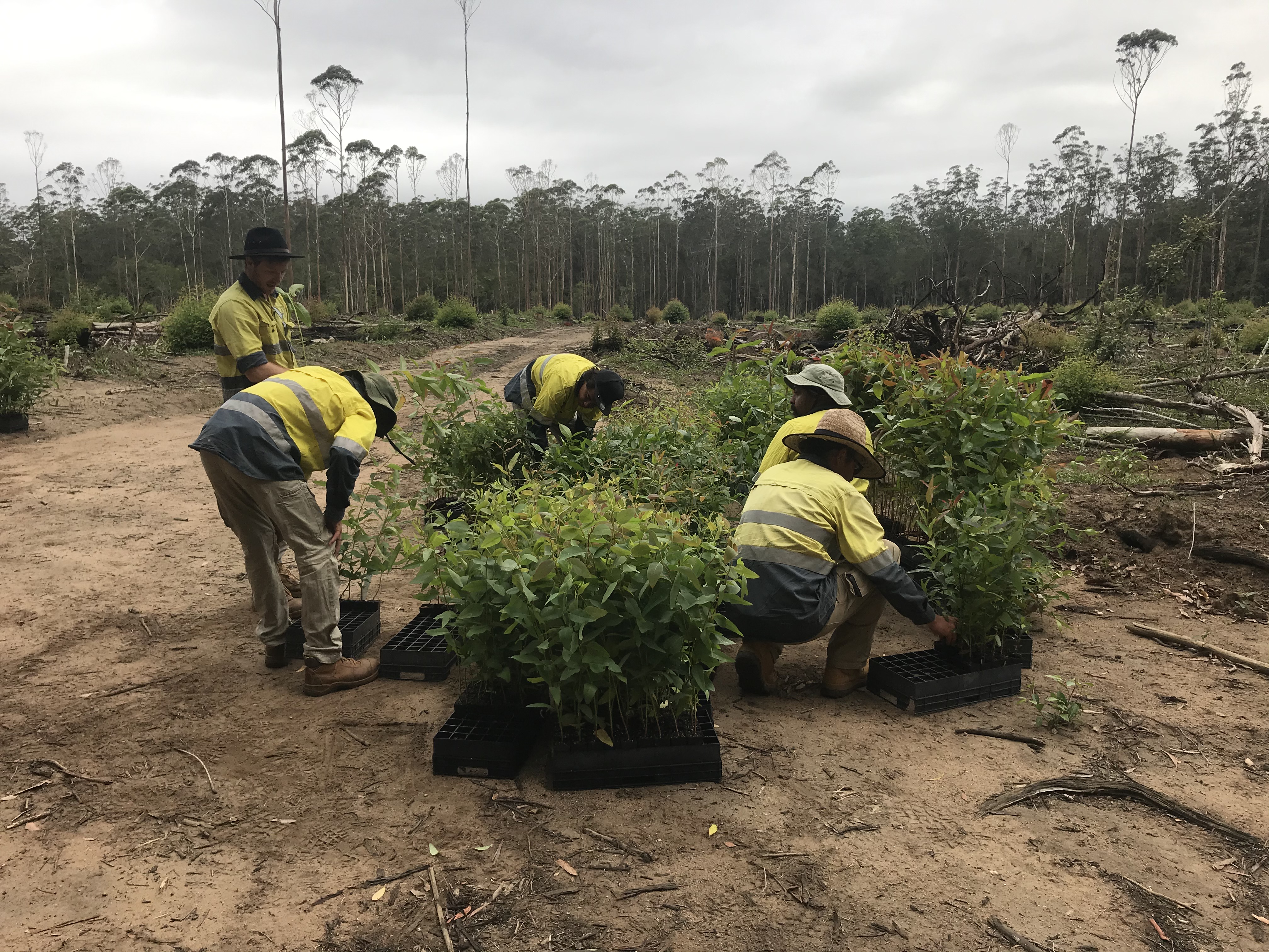 First Nations Kabi Kabi Trainees_photo cred Noosa Landcare.JPG
